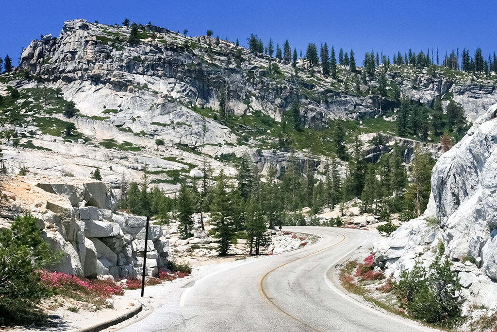 07-07 - 04.JPG - Yosemite National Park, CA